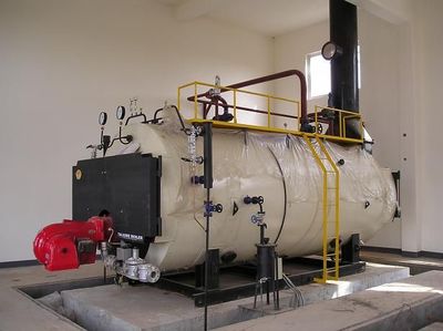 江西燃氣蒸汽鍋爐制衣廠用