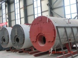 泰安價(jià)位合理的全自動燃油燃?xì)忮仩t哪里買 甘肅全自動燃油燃?xì)忮仩t